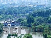 全部足球历史比分查询-探秘足球历史长河，全面解析足球历史比分查询的奥秘
