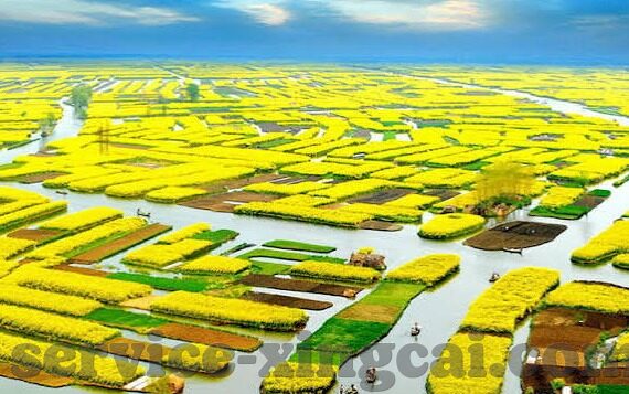 线上德州扑克现金桌-线上德州扑克现金桌，策略、技巧与心理博弈